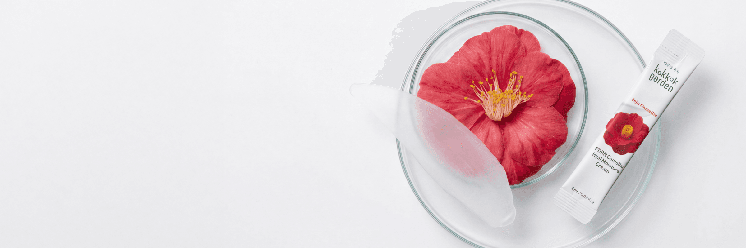 Camellia X PDRN 제주 카멜리아의 가장 신선한 보습력