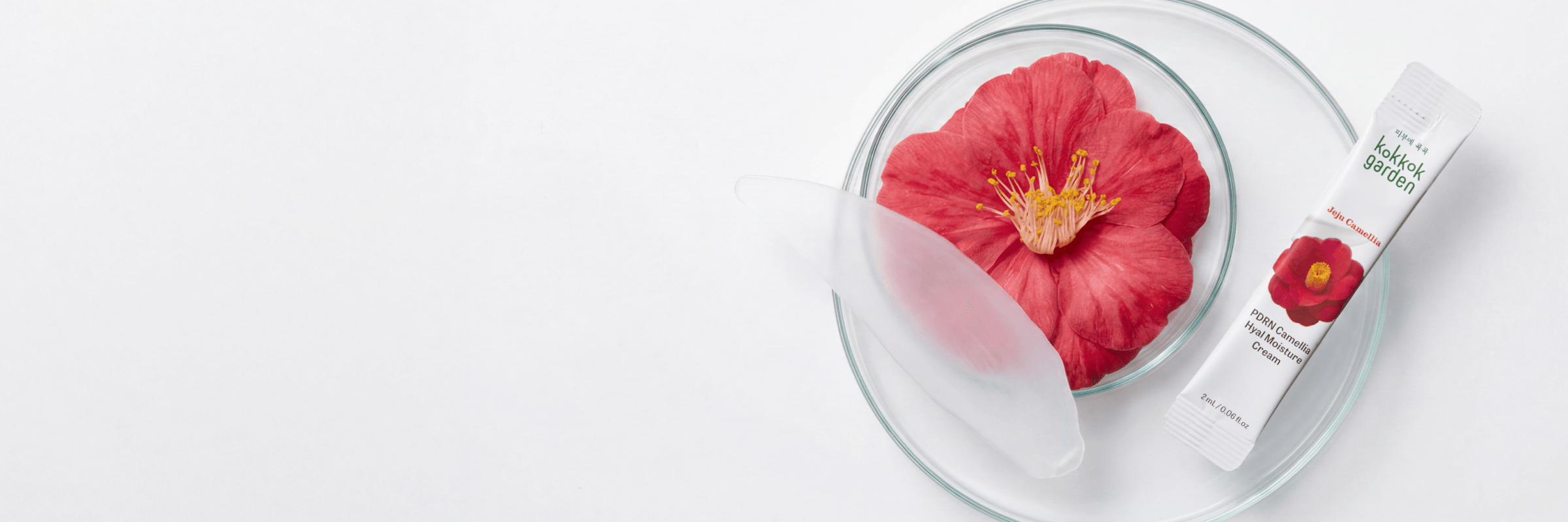 Camellia X PDRN 제주 카멜리아의 가장 신선한 보습력